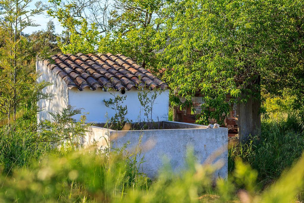 Maison d'hôtes The New Laziness à São Luis Extérieur photo